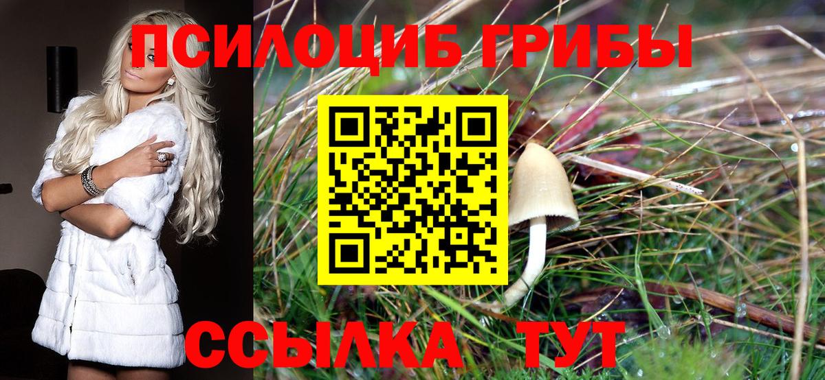 Псилоцибиновые грибы Cubensis Подольск