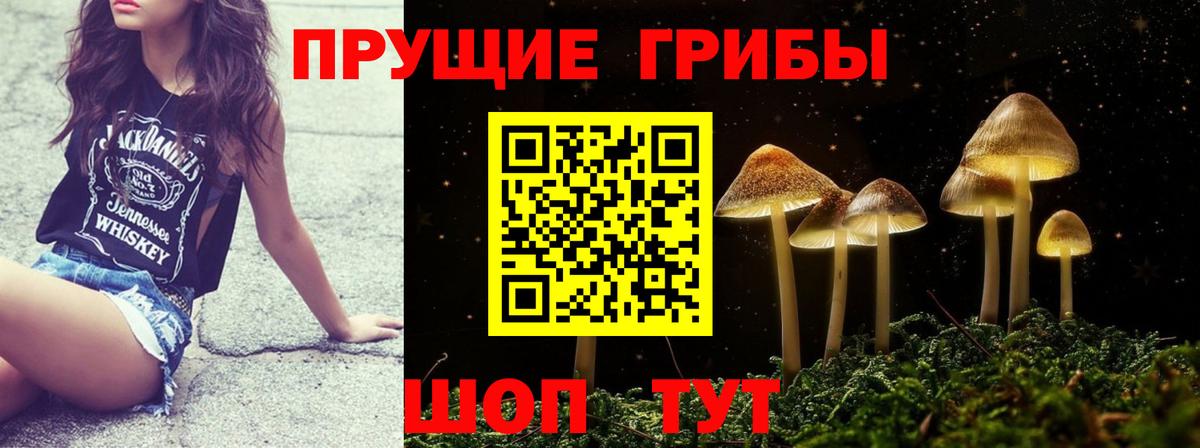 магазин продажи наркотиков  Вход с VPN  Галлюциногенные грибы Psilocybine cubensis  Подольск  Псилоцибиновые грибы Magic Shrooms 